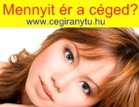 K�nyvvizsg�l� K�nyvvizsg�lat