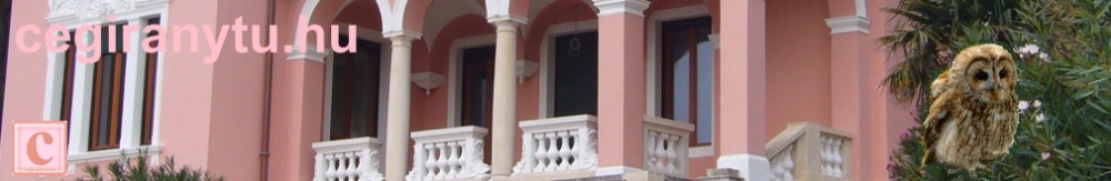 cegiranytu.hu fejl�c