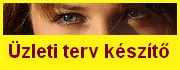 �zleti terv k�sz�t� 2012